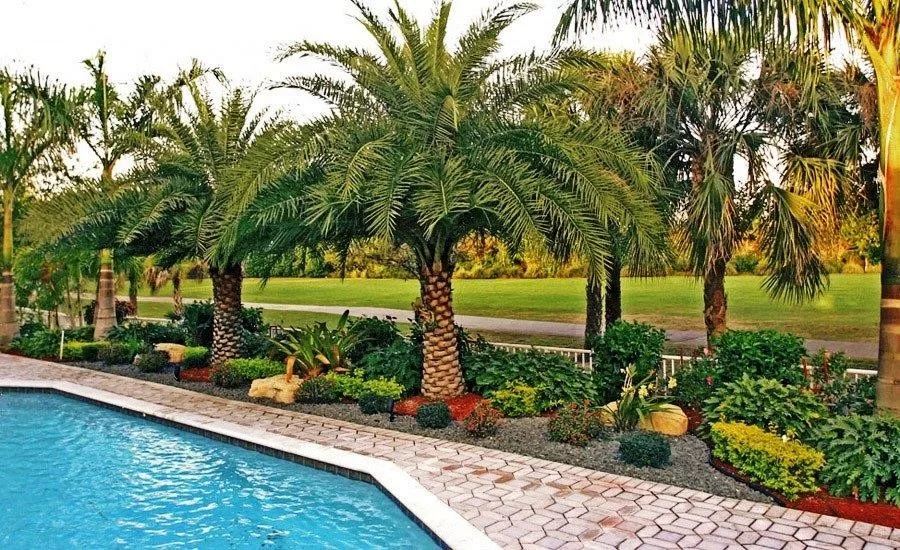 Home Installation Showcase by Photoscape Landscape And Design - Photo 9