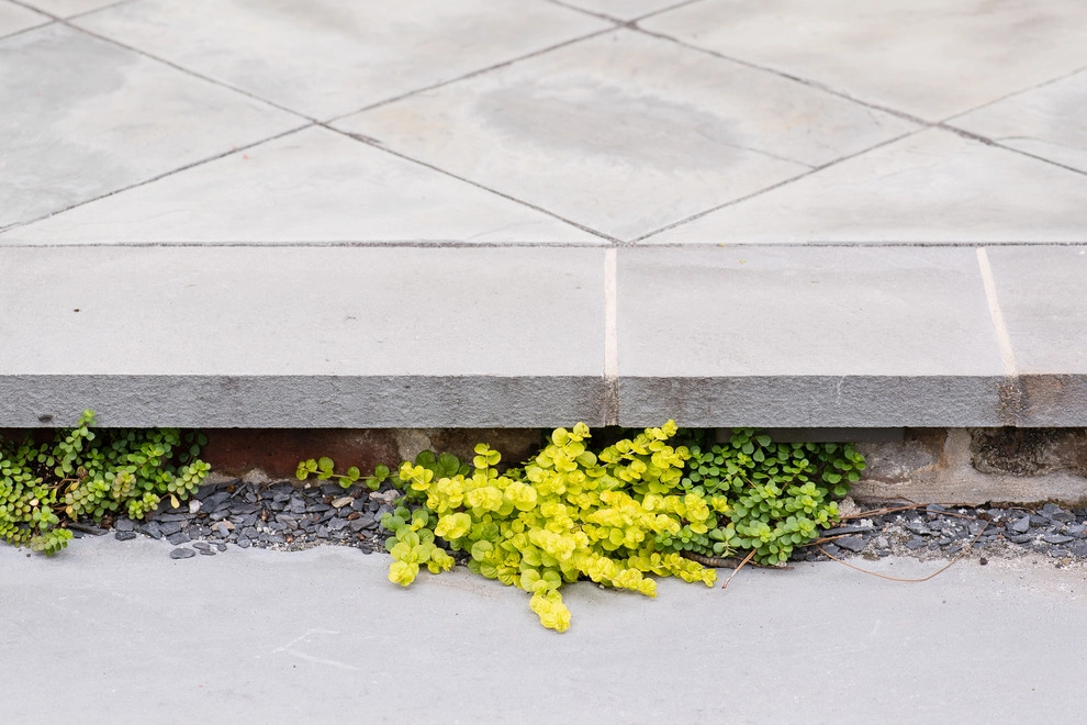 Unexpected Mosaic by Carolina Landscape, Inc. - Photo 10