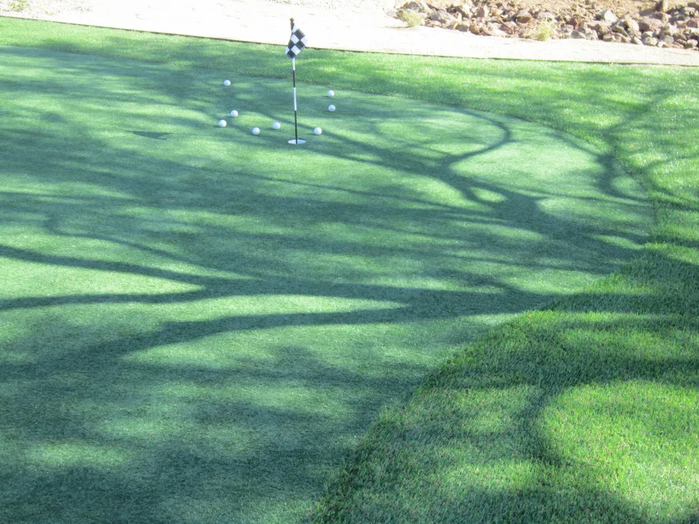 Synthetic Turf Area by AW Turf LLC - Photo 4