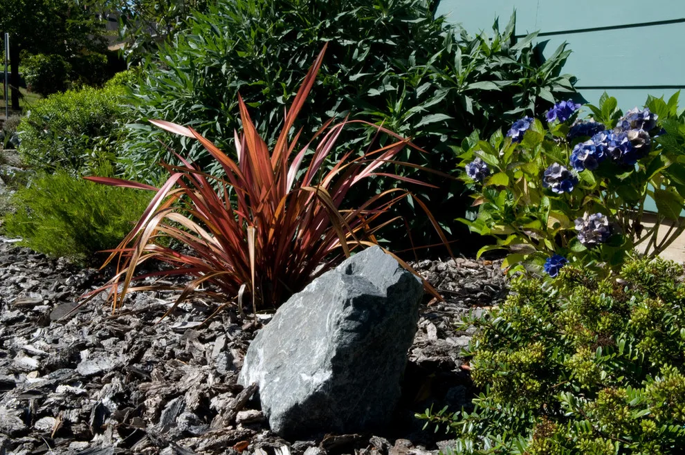 Humboldt Landscape - Photo 4