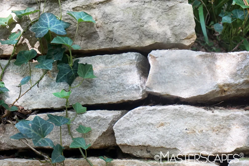 Landscape Designs for Retaining Walls by MasterScapes - Photo 18