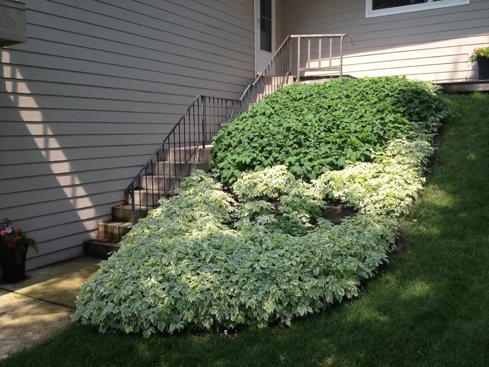 North Country Lawns - Photo 5