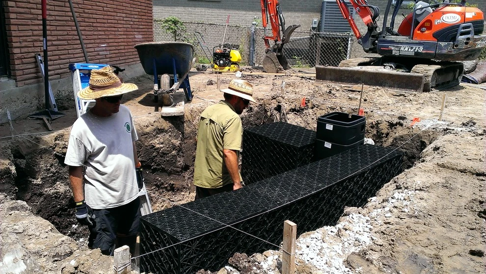Greenman Dan, Inc. - Photo 5