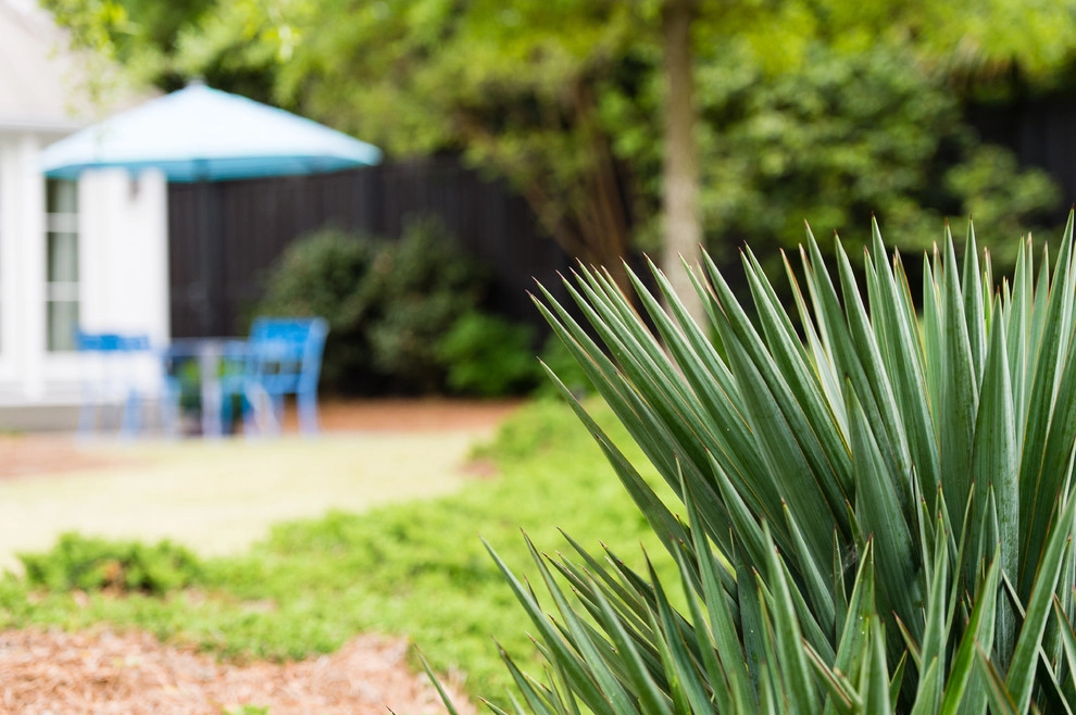Low Country Rustic by Carolina Landscape, Inc. - Photo 3