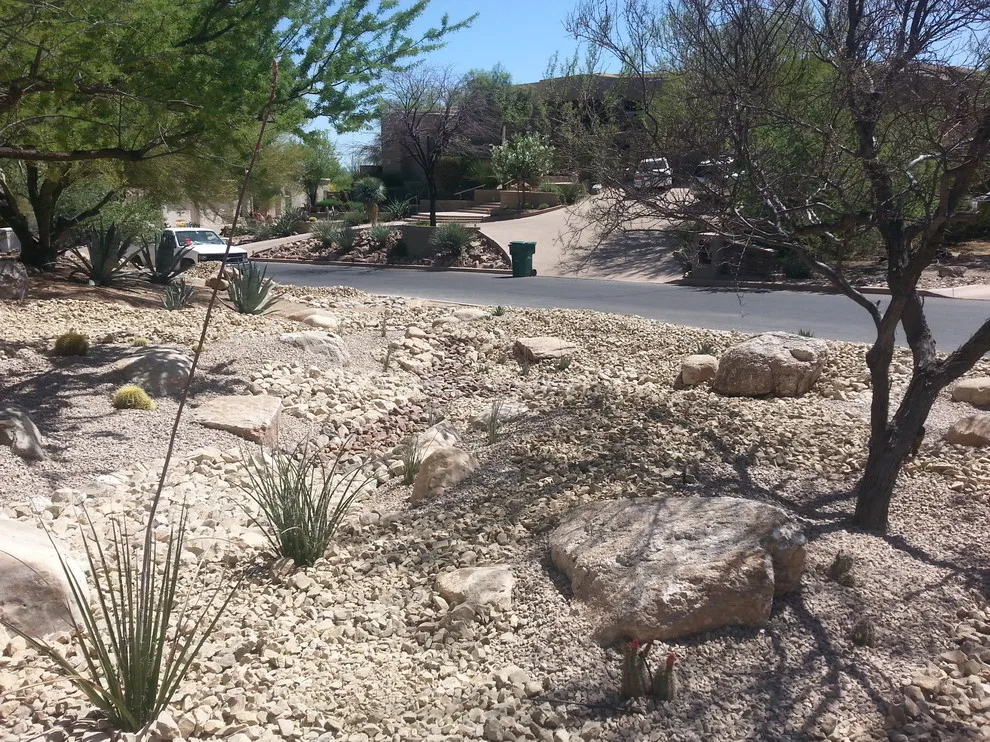 Schuchart Home by ALA, Artistic Landscape Architecture - Photo 3