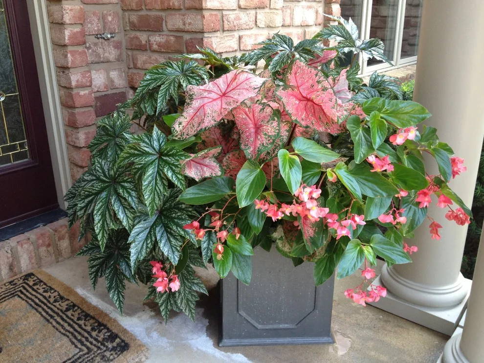 Seasonal Project by Bruce Ewing - Photo 28