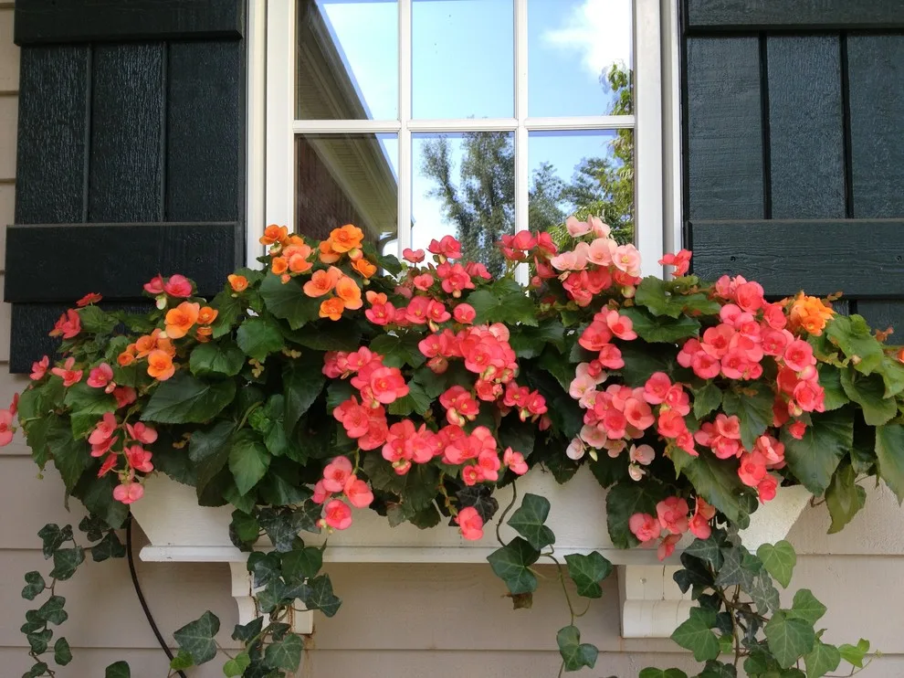 Seasonal Project by Bruce Ewing - Photo 60
