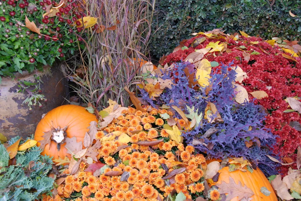 Seasonal Project by Bruce Ewing - Photo 18