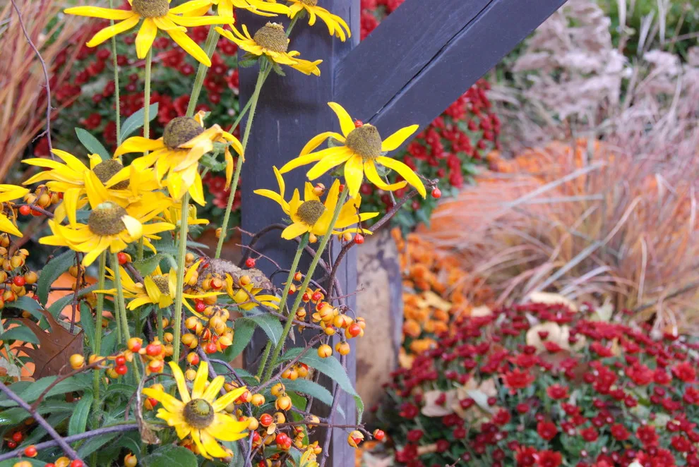 Seasonal Project by Bruce Ewing - Photo 14