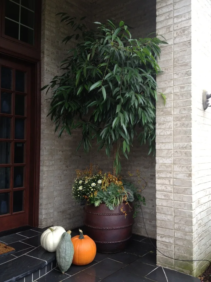 Seasonal Project by Bruce Ewing - Photo 55