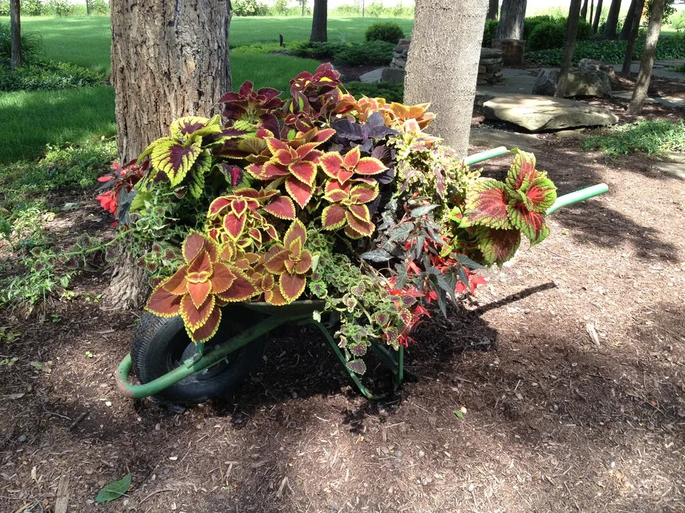 Seasonal Project by Bruce Ewing - Photo 67