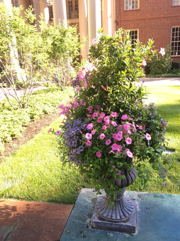 Seasonal Project by Bruce Ewing - Photo 30