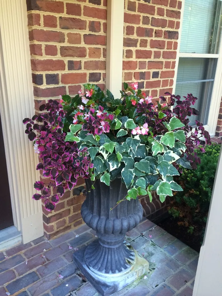 Seasonal Project by Bruce Ewing - Photo 25