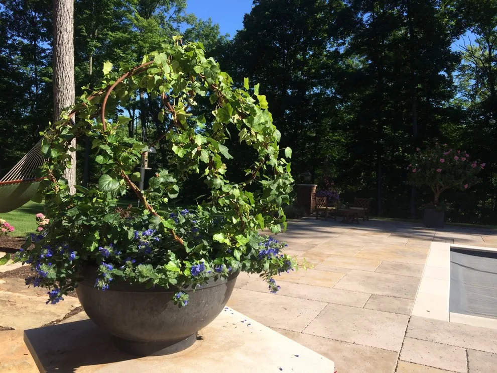 Seasonal Project by Bruce Ewing - Photo 38