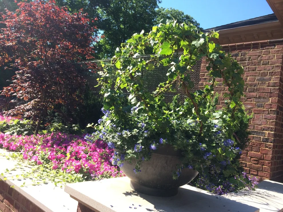 Seasonal Project by Bruce Ewing - Photo 59