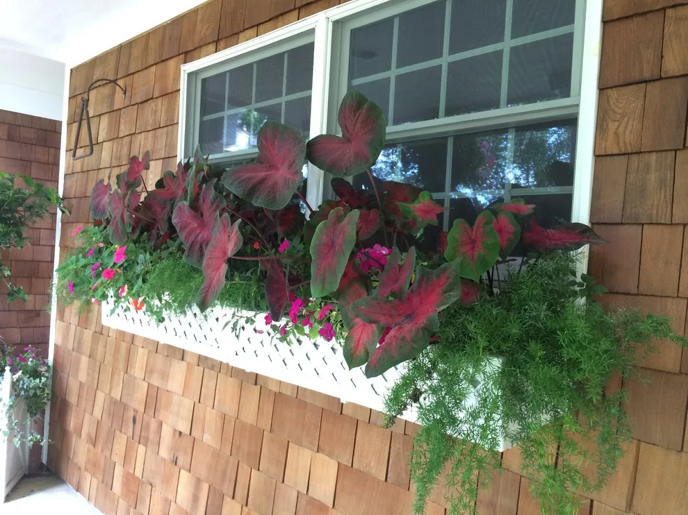Seasonal Project by Bruce Ewing - Photo 31