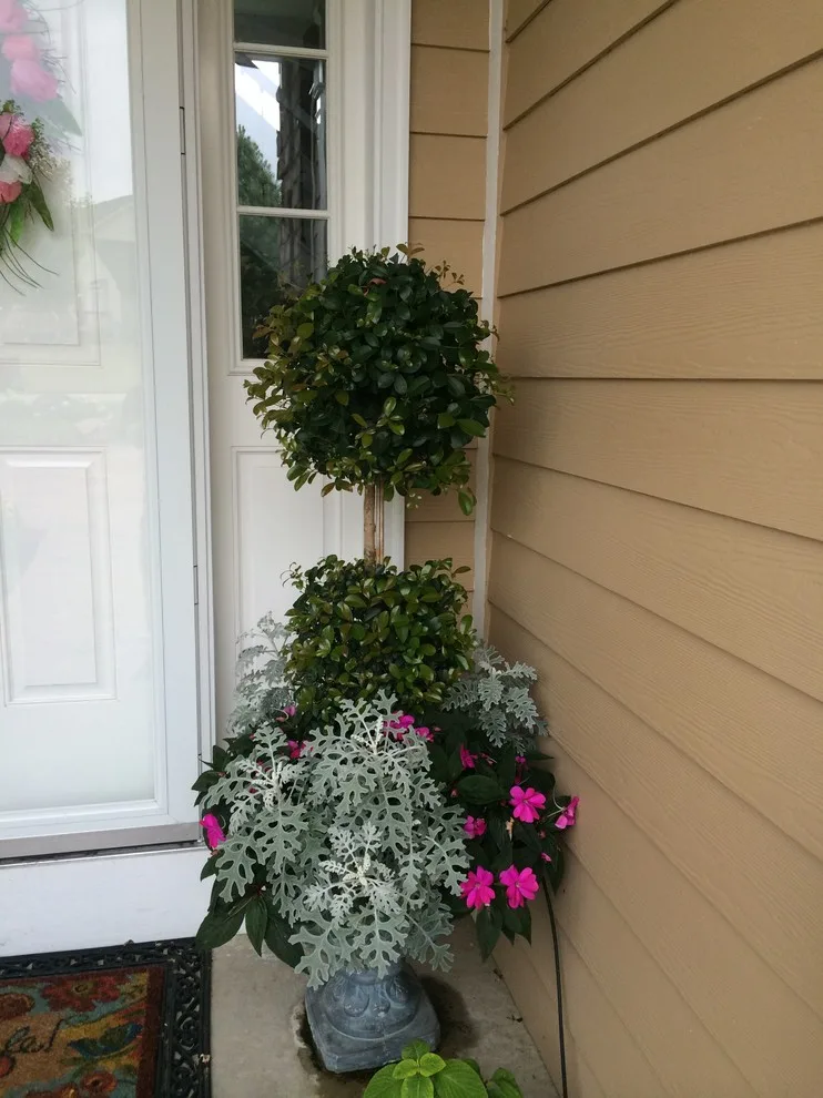 Seasonal Project by Bruce Ewing - Photo 9