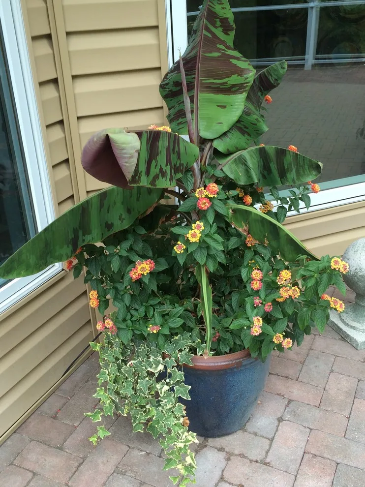 Seasonal Project by Bruce Ewing - Photo 74