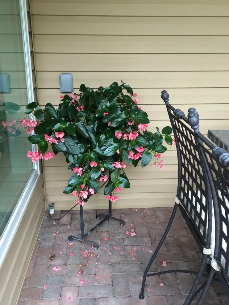 Seasonal Project by Bruce Ewing - Photo 20