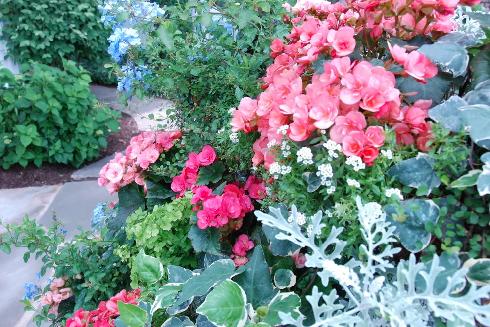 Seasonal Project by Bruce Ewing - Photo 3