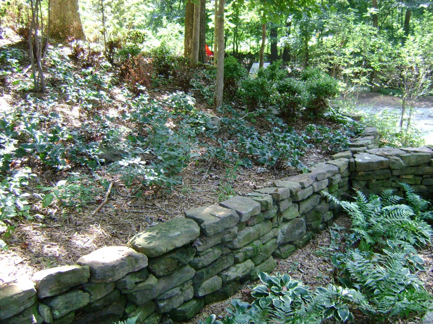 Shade Home by Professional Landscaping Company - Photo 4