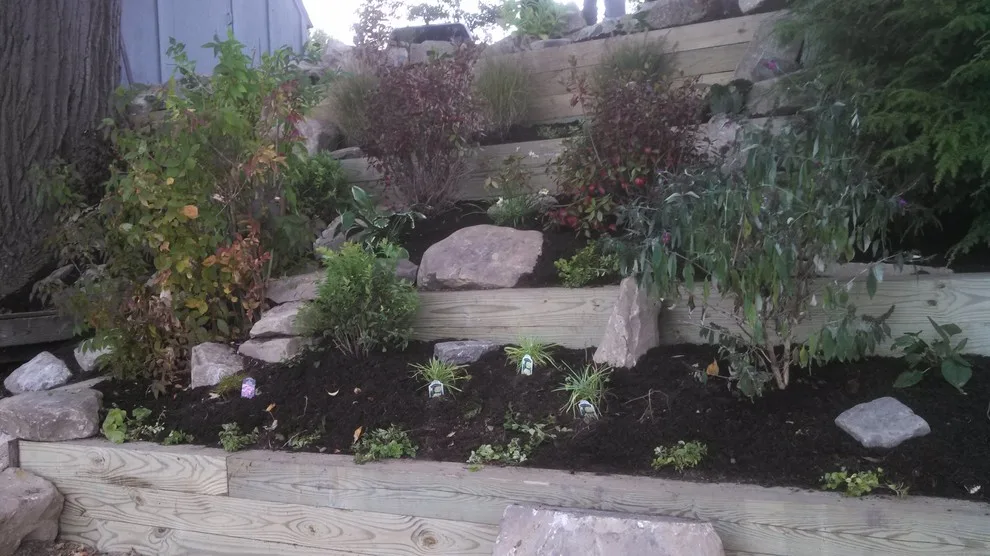 Slope stabilization and vegetation establishment by Marlinski Landscape & Stone Work - Photo 2