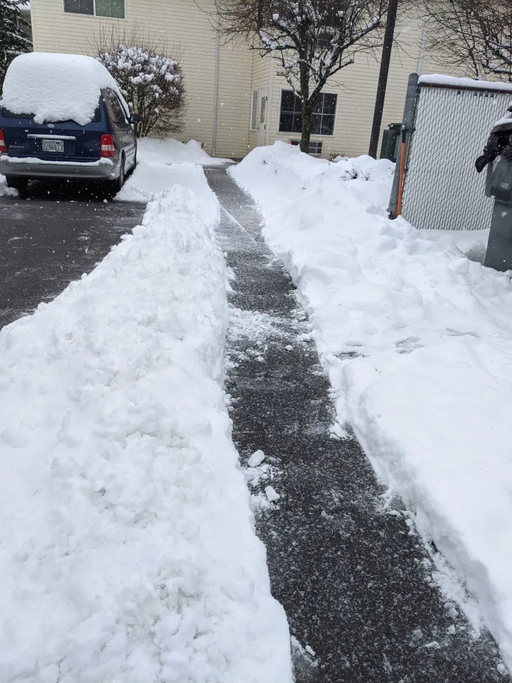 Ice Clearing by All Seasons Landscaping Of Mason County LLC - Photo 5