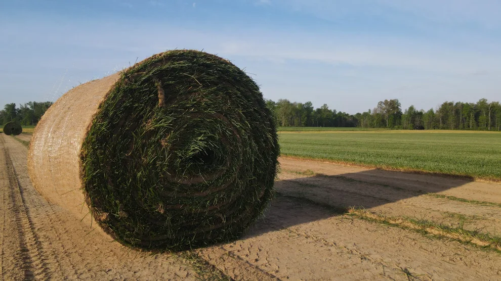 Hoosier Turf - Photo 10