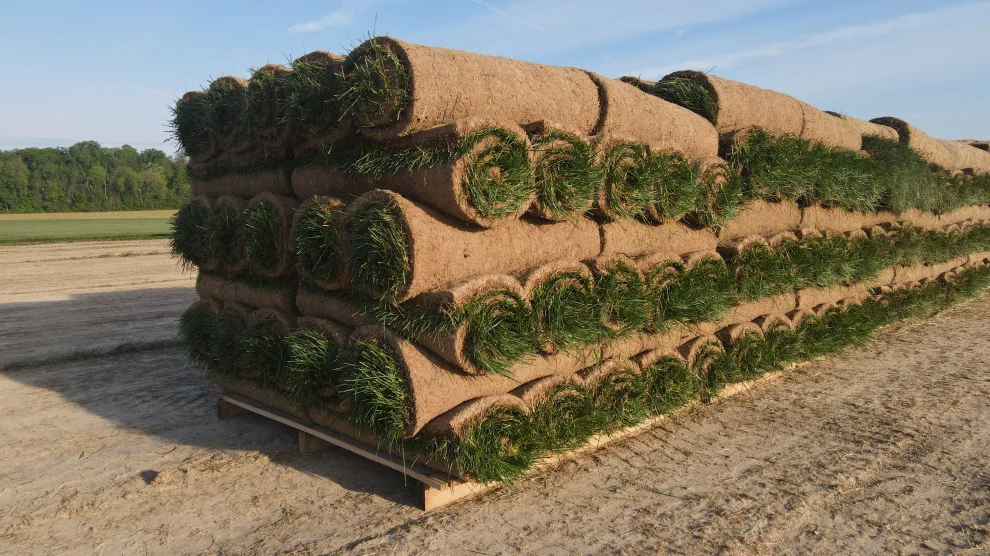 Hoosier Turf - Photo 11