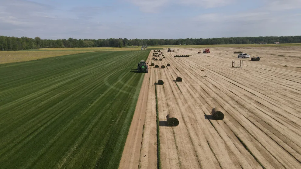 Hoosier Turf - Photo 8