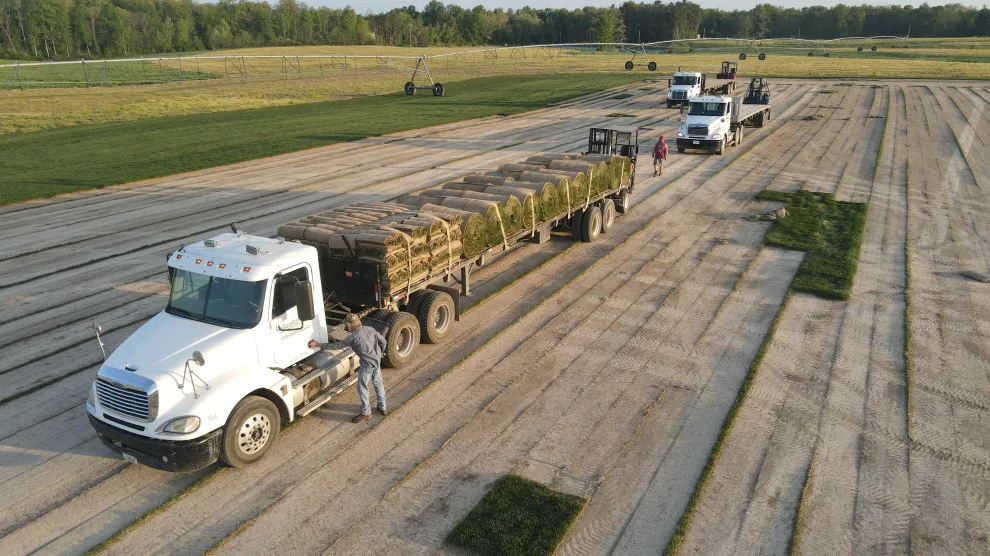 Hoosier Turf - Photo 6