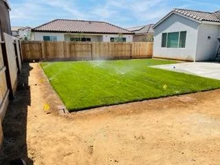 Grass by All Exclusive Custom Landscapes, Inc. - Photo 4
