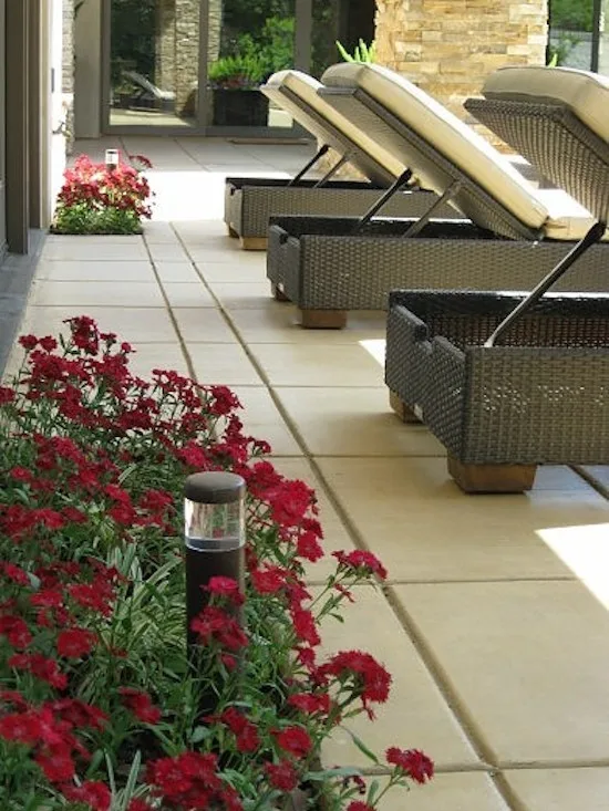 Southwest Modern Design by Plant Systems Landscape - Photo 7
