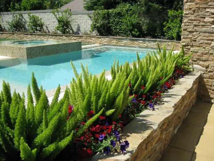 Southwest Modern Design by Plant Systems Landscape - Photo 10