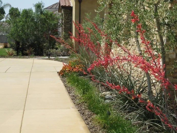 Southwest Modern Design by Plant Systems Landscape - Photo 4