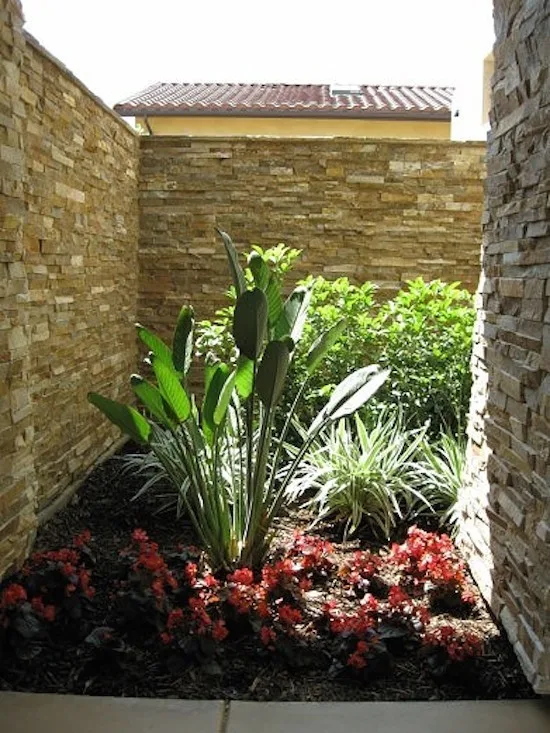 Southwest Modern Design by Plant Systems Landscape - Photo 6