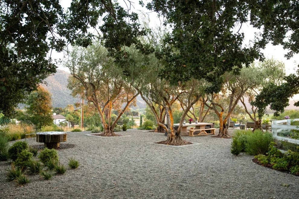 Beginner's Agricultural Initiative by AAA Landscaping LLC - Photo 6