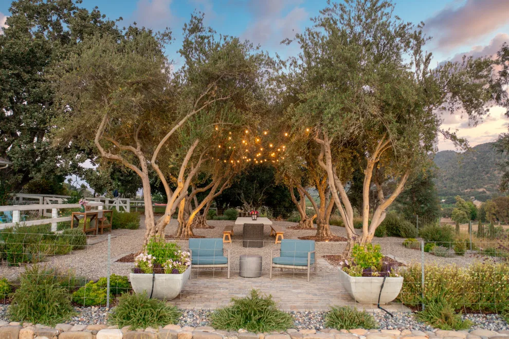 Beginner's Agricultural Initiative by AAA Landscaping LLC - Photo 9