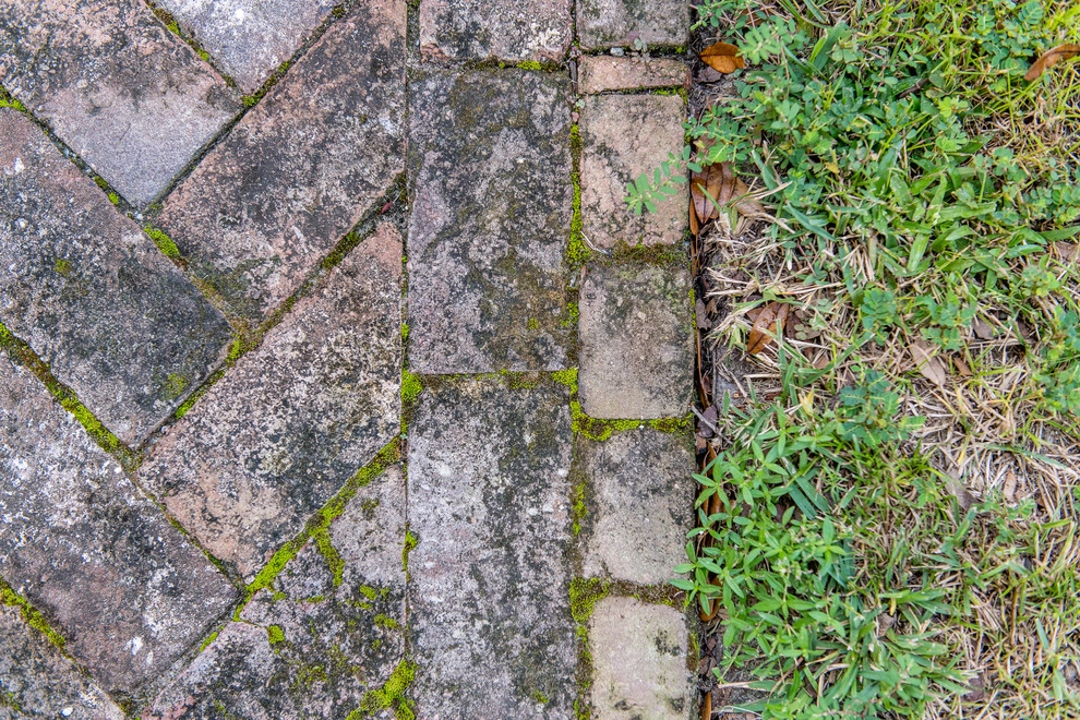 Carolina Landscape, Inc. - Photo 5