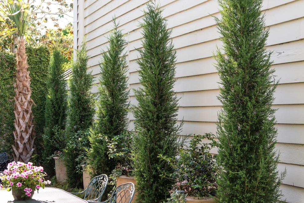 Traditional Charm by Carolina Landscape, Inc. - Photo 13