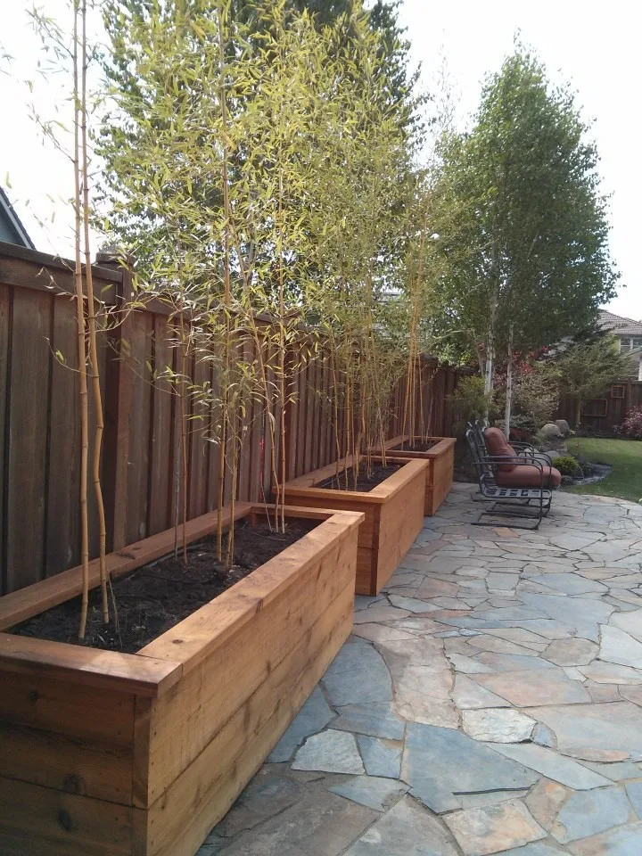 Frameworks by Graham Landscape And Design - Photo 16
