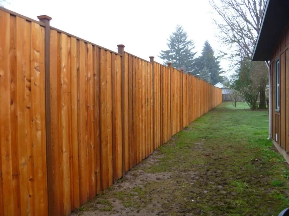 Frameworks by Graham Landscape And Design - Photo 15