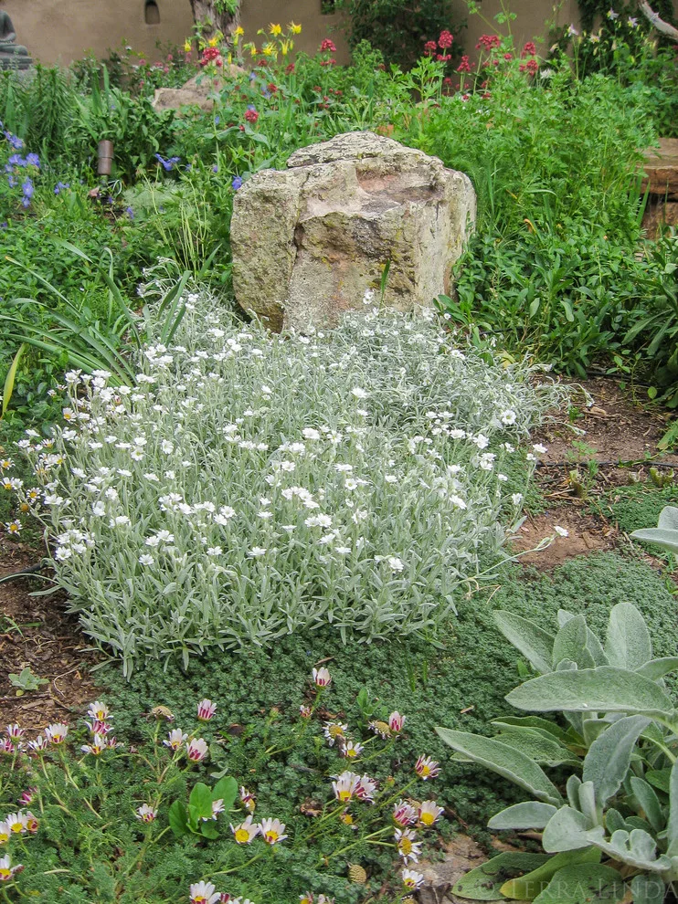 Terra Gardens Santa Fe - Photo 6