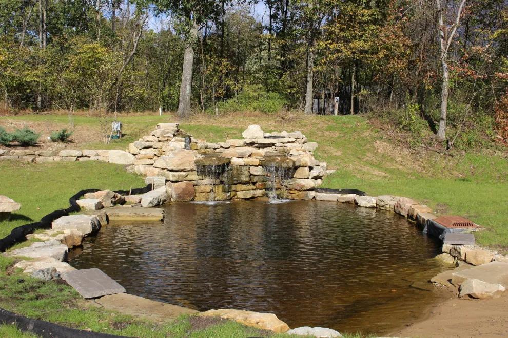 Swim Spot by Wichman Landscape & Construction - Photo 8
