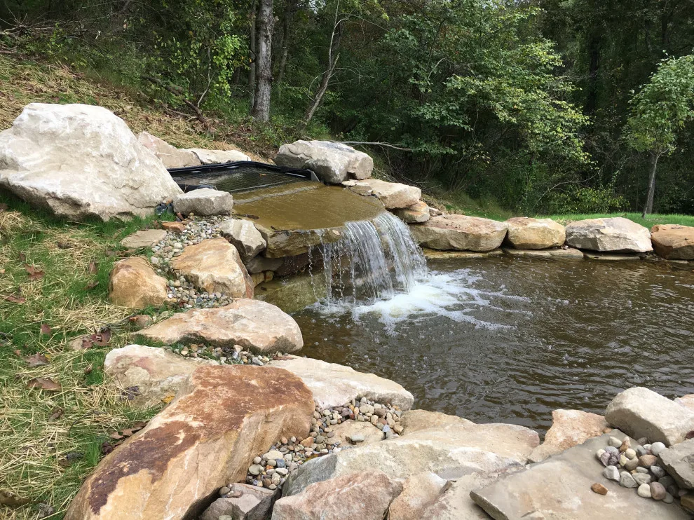 Swim Spot by Wichman Landscape & Construction - Photo 4