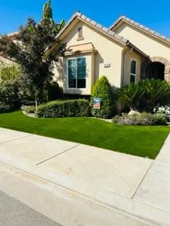 Artificial Grass by All Exclusive Custom Landscapes, Inc. - Photo 26