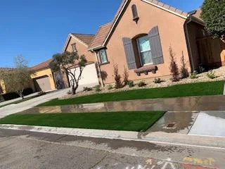 Artificial Grass by All Exclusive Custom Landscapes, Inc. - Photo 32