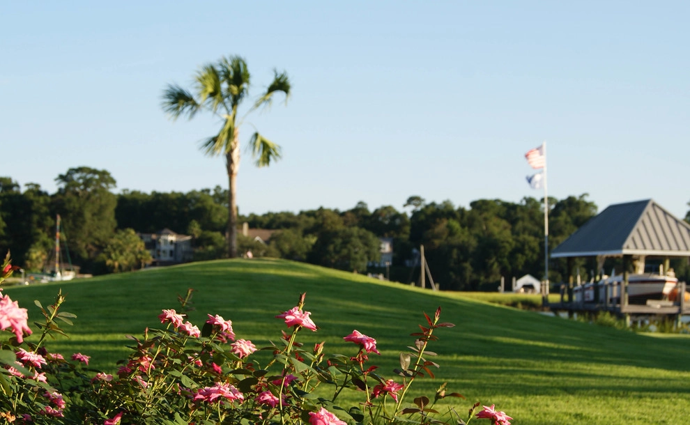 Coastal Contemporary by Carolina Landscape, Inc. - Photo 2
