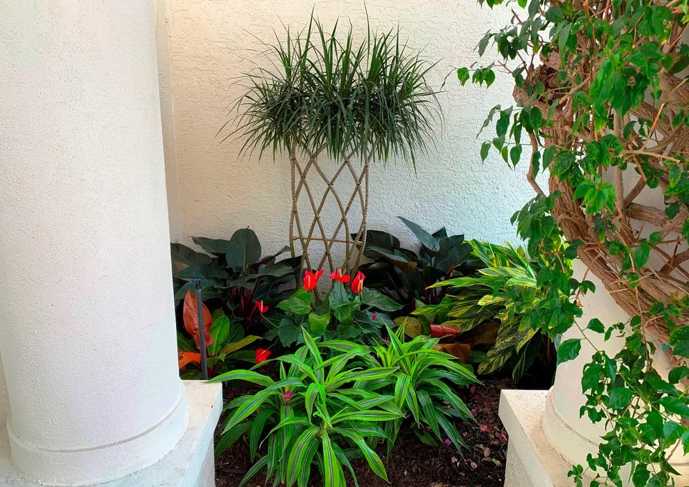McCarthy Residence - Naples by Photoscape Landscape And Design - Photo 9