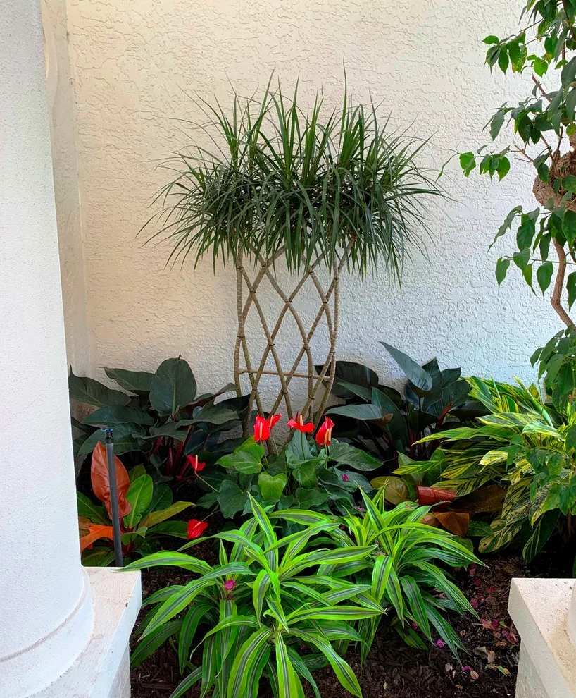 McCarthy Residence - Naples by Photoscape Landscape And Design - Photo 6